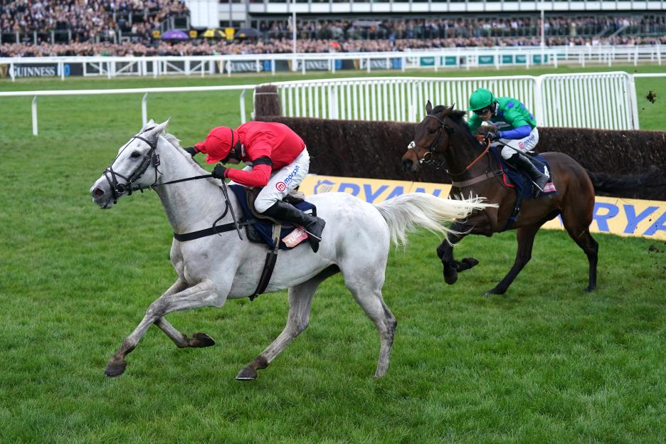 Discover the Grey Horses Competing in the 2026 Cheltenham Gold Cup and the Last Time One Took Home the Win!