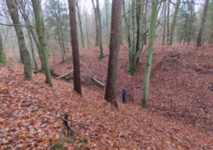 Ancient Lost Medieval City Discovered in Remote Forest, Bursting with Artifacts!