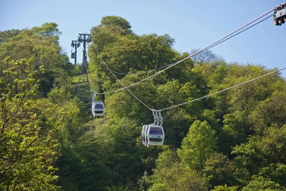Two cable cars on a line above green trees at Heights of Abraham.
