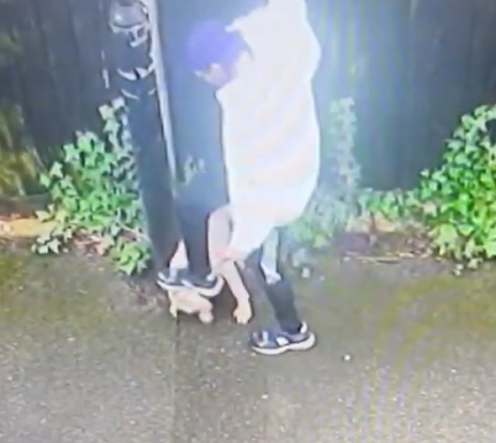 A person in a white hoodie appears to be kicking a small, light-colored dog on the ground.
