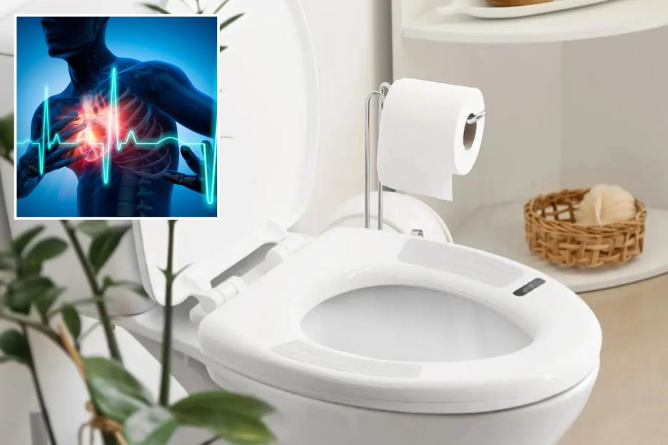 Smart Toilets Detect Heart Issues Before Symptoms Appear—Now Available for Purchase!