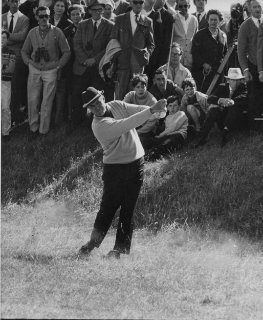 NINTCHDBPICT000000981846