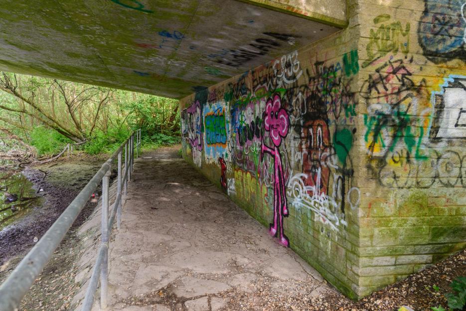 An underpass with graffiti on the wall, a metal railing, and a river on the left, with dense foliage in the background.