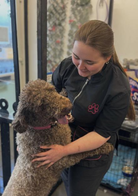 Stress and Heart Health