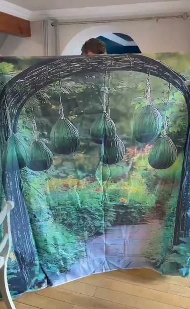 NINTCHDBPICT001074887100