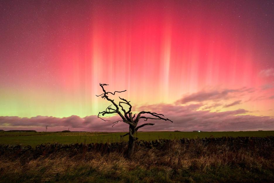 The Northern Lights in red and green hues over the Stanegate, an old Roman road, in Northumberland.
