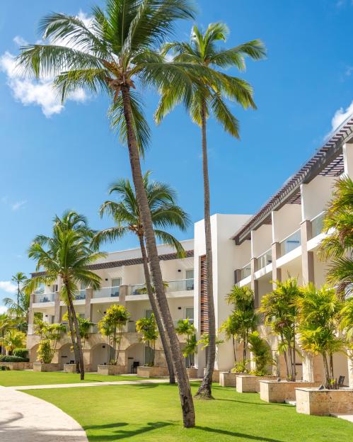 NINTCHDBPICT001072116527