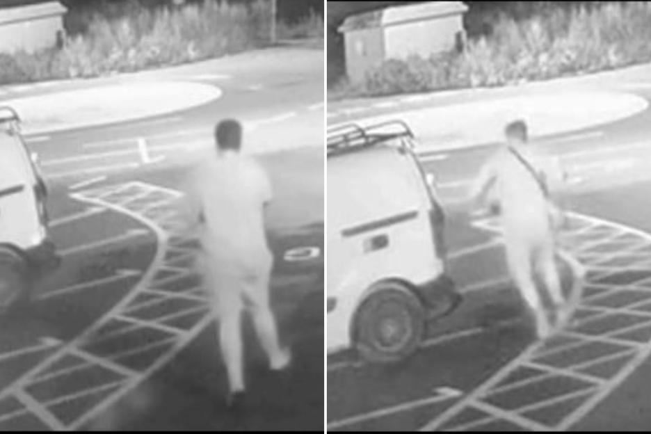 Tragic Incident: Dog Dies in McDonald's Parking Lot Fire, 28-Year-Old Arrested While Police Search for Two Good Samaritans