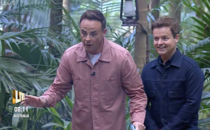 Ant and Dec in the jungle with a lantern behind them.