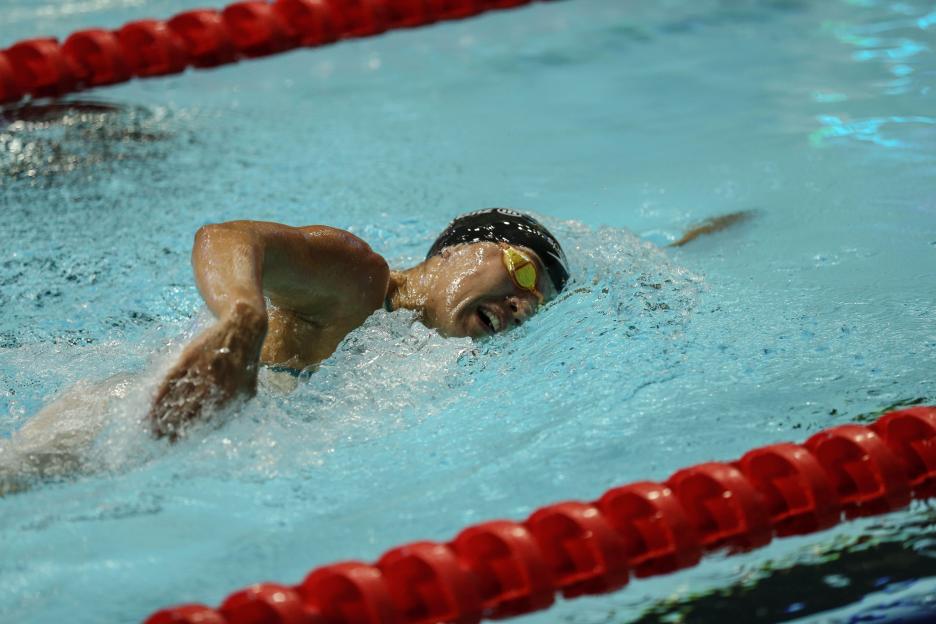 NINTCHDBPICT001072639996