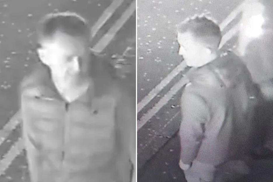 Woman Allegedly Assaulted Inside Irish Pub as Police Release CCTV Image of Person of Interest