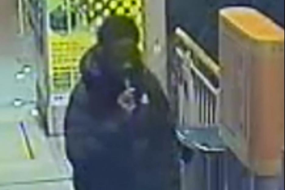 Teenage Girl Assaulted in Park by Man in His 20s; Police Release CCTV Footage