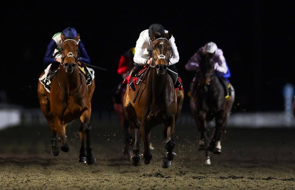 Nicky Henderson Shares Exciting Update on Constitution Hill Following 'Unusual' Visit That Could Lead to £5 Million Race