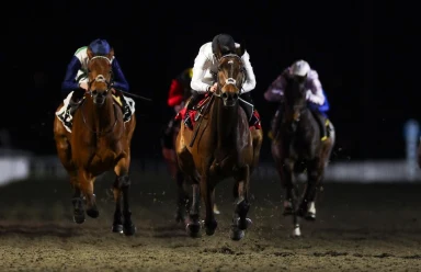 "Constitution Hill's Big Bet: Nicky Henderson's Star Risks £2.4 Million Future"