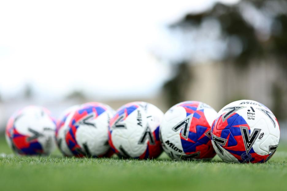 Soccer balls on a green field.