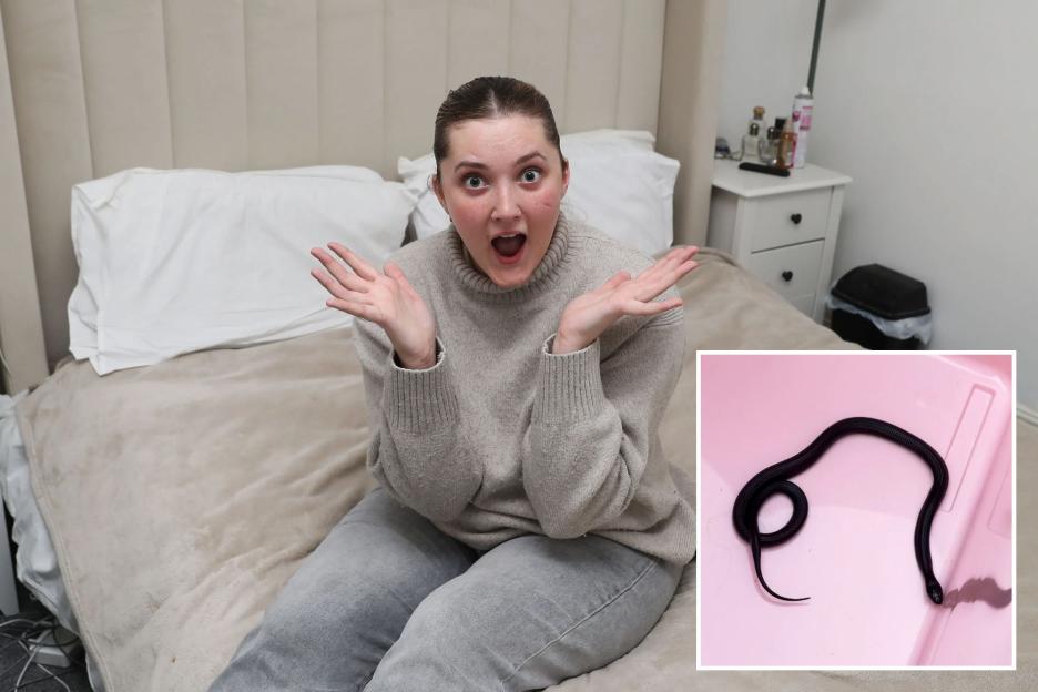 Mom Surprised by Mexican Kingsnake Bite While Snuggling in Bed!