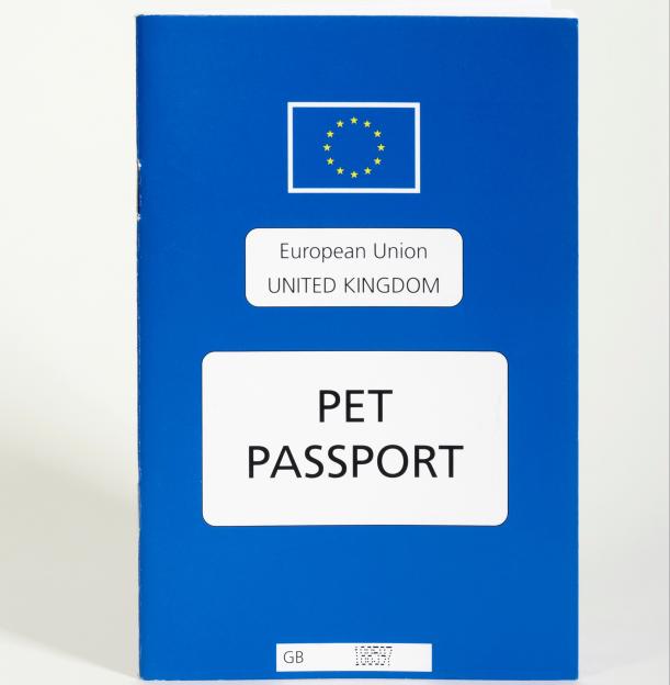 A blue European Union Pet Passport for the United Kingdom.