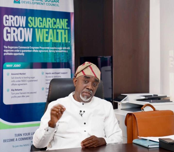 Nigeria's $1 Billion Investment Deal with China: A Key to Achieving Sugar Self-Sufficiency, Says NSDC Chief Bakrin
