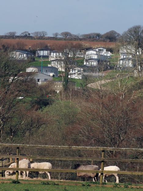 A field of sheep and a fence in the foreground, with numerous caravans on a hill in the background.