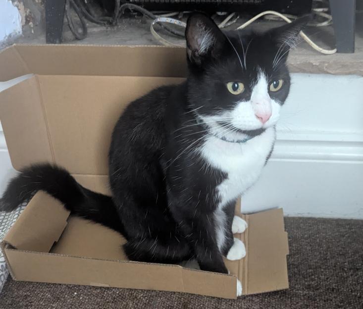 NINTCHDBPICT001077041803