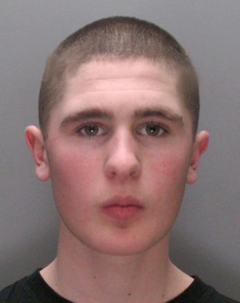 NINTCHDBPICT000000643440