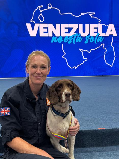 From Unwanted Pup to Hero: The Inspiring Journey of ‘Ruff Diamond’ Davey, Britain’s Bravest Dog