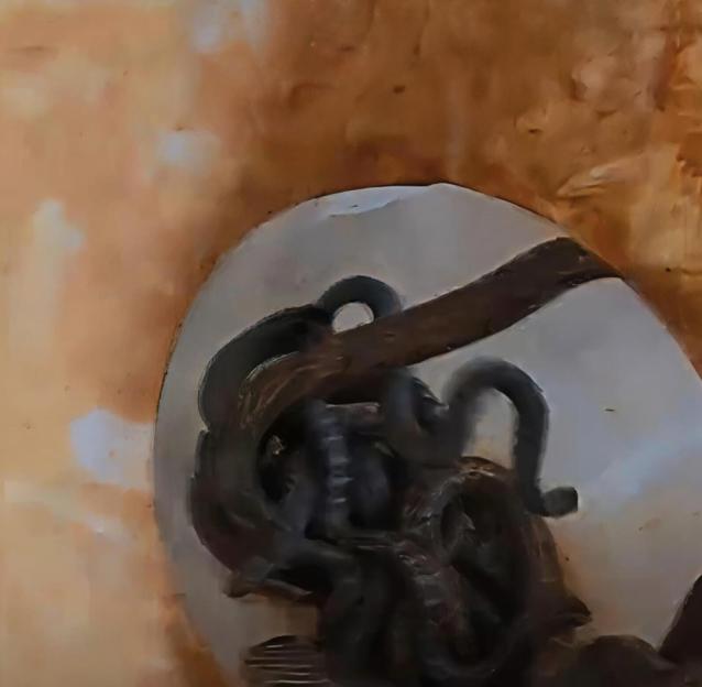 VIDEO: Locals collect thousands of VENOMOUS snakes after they escaped during storm