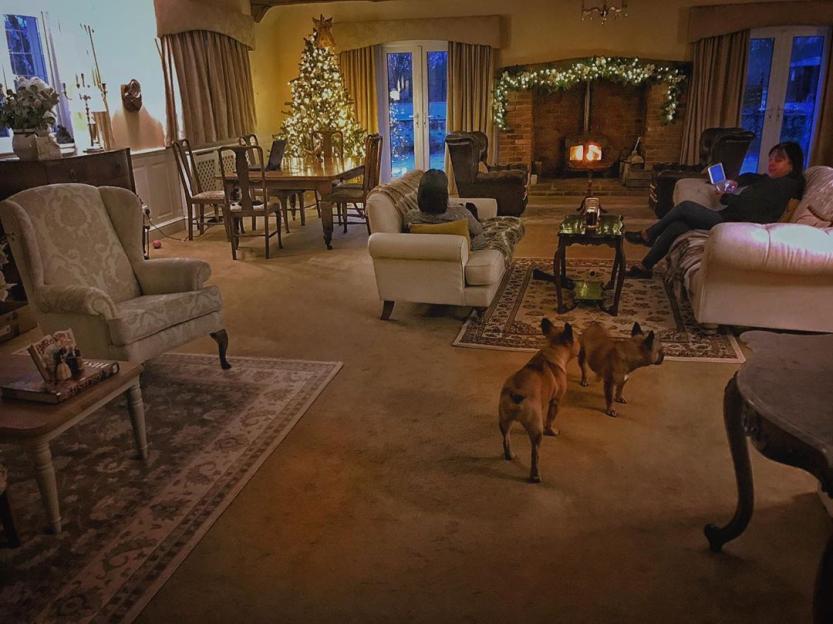Gregg Wallace's living room at Christmas with two people relaxing and two dogs.