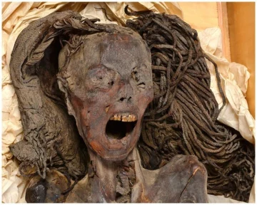3,000-Year-Old Mystery of Egypt's 'Screaming Mummy' Solved: Death Frozen in Terror Unraveled!