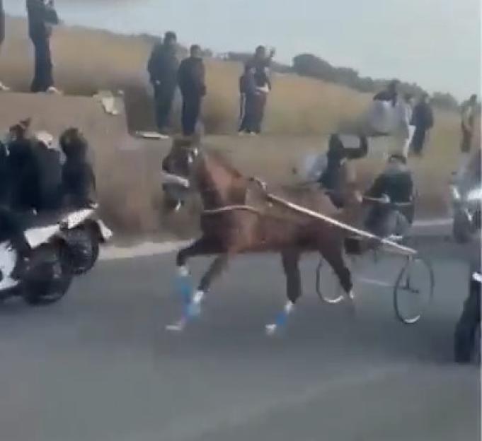 A horse pulling a sulky with a driver, flanked by people on scooters, racing down a paved road.