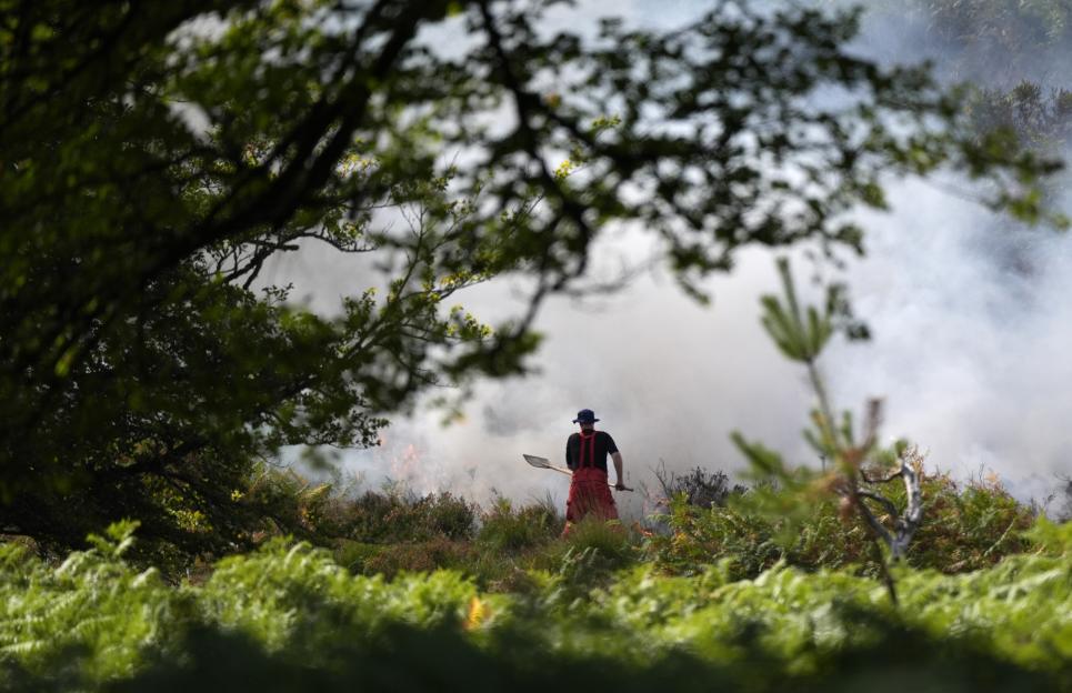 New Forest heathland fire