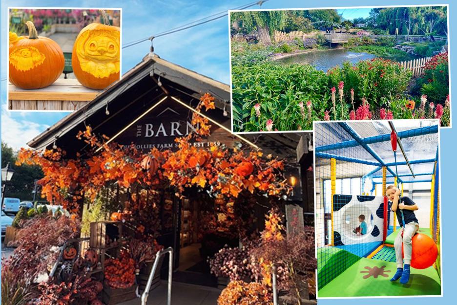 Best UK garden centres for family days out – with arcade games, FREE soft play, fairgrounds… and even a beach