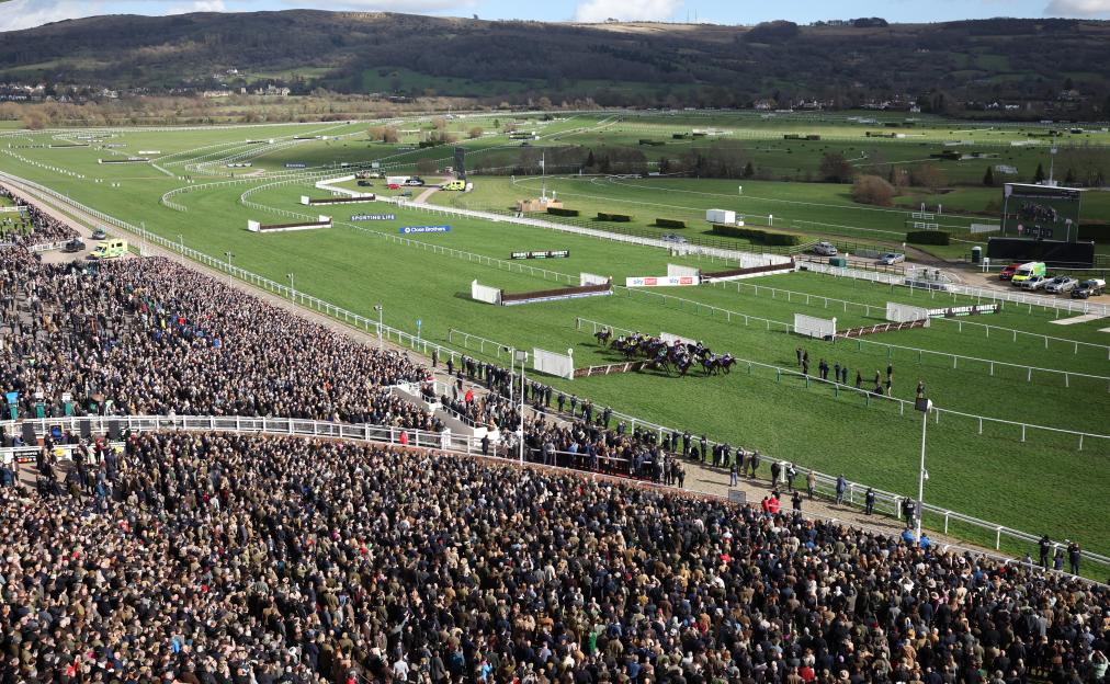 Cheltenham Festival Day 1