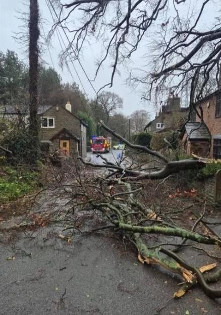 NINTCHDBPICT001038547885