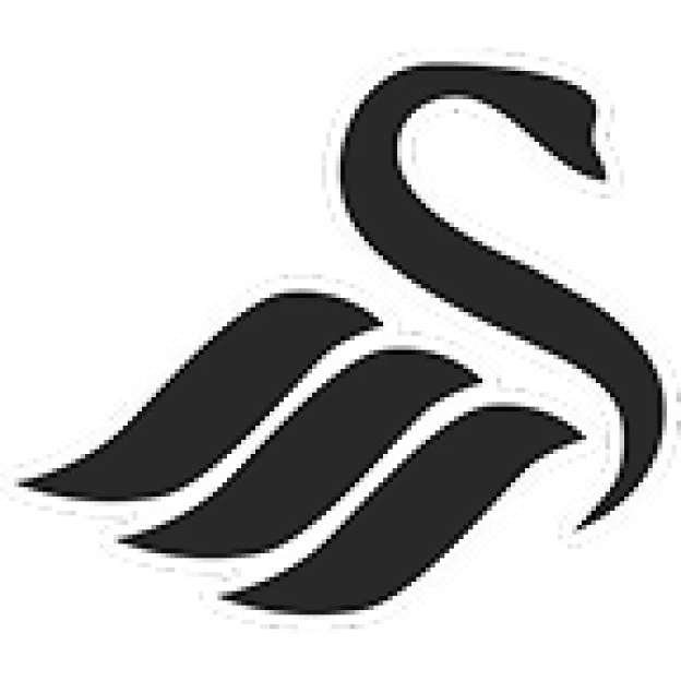Efl-c-teamswansea-city