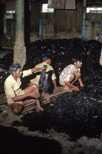 Hindu men sorting piles of shaved hair at Tirupati Venkateswara Temple.