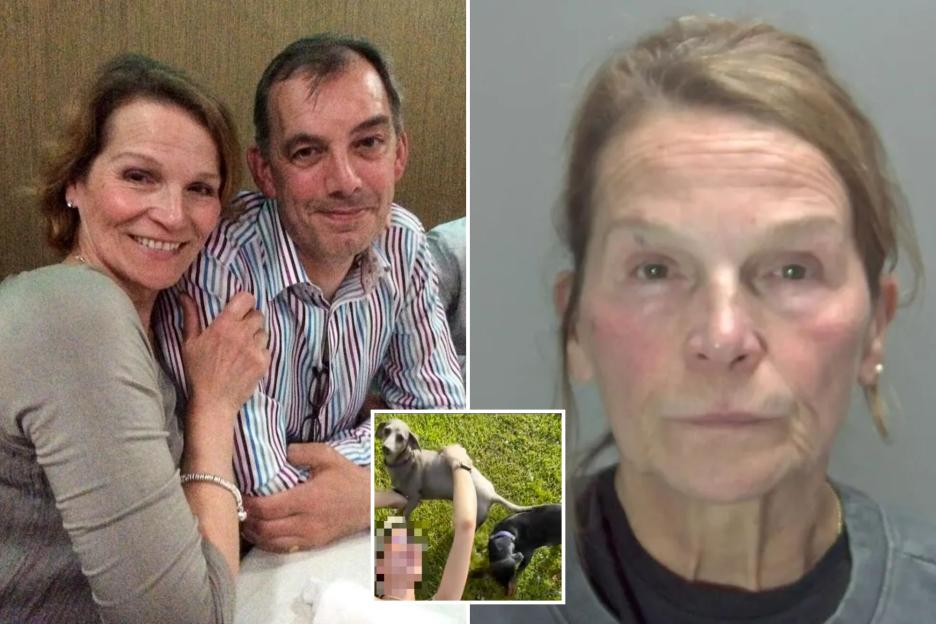 Woman Sentenced for Stabbing Estranged Husband After He Had Their 'Bitey' Dogs Put Down