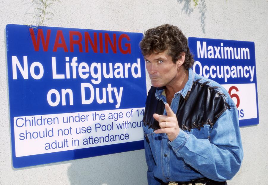 American actor and singer David Hasselhoff, known from Knightrider and Baywatch...
