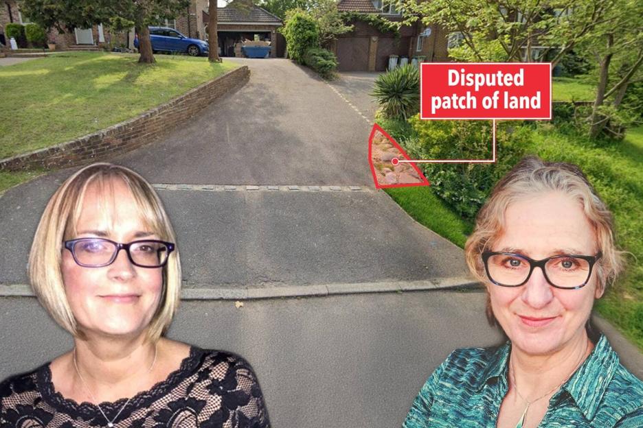 Couple Triumphs in 4-Year Dispute Over Small Patch of Grass After Neighbors Swap Plants for a Garden Gnome