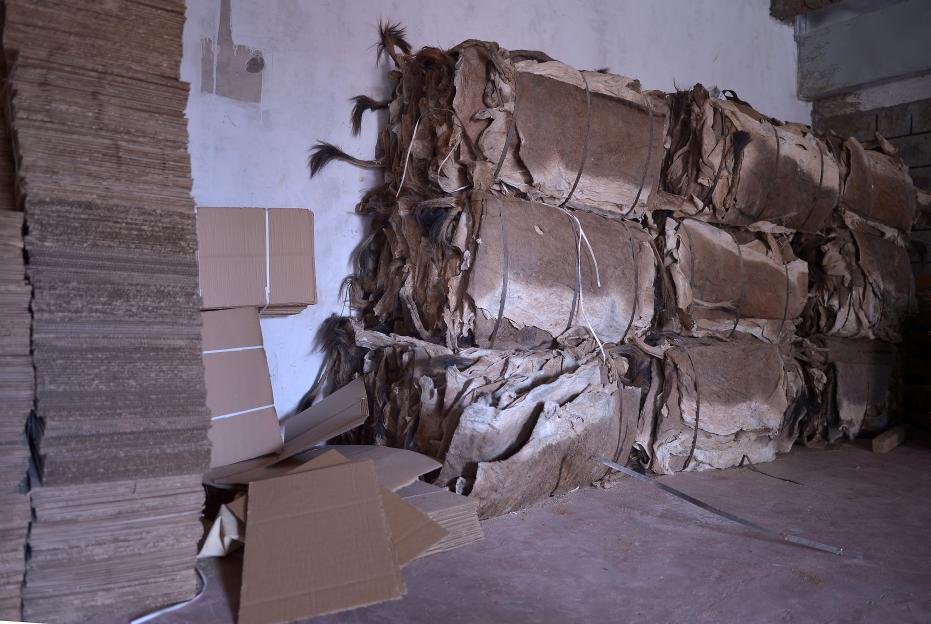 Donkey hides loaded into a shipping container.