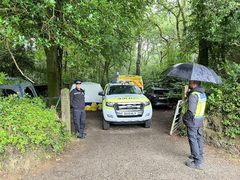 Police and forensics team at a wooded crime scene.