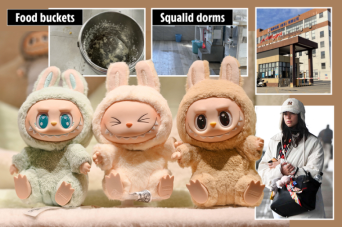 Shocking Reality of Labubu Dolls: Teens Struggling to Survive on 'Slop Buckets' in Disease-Infested 'Prison' Factories