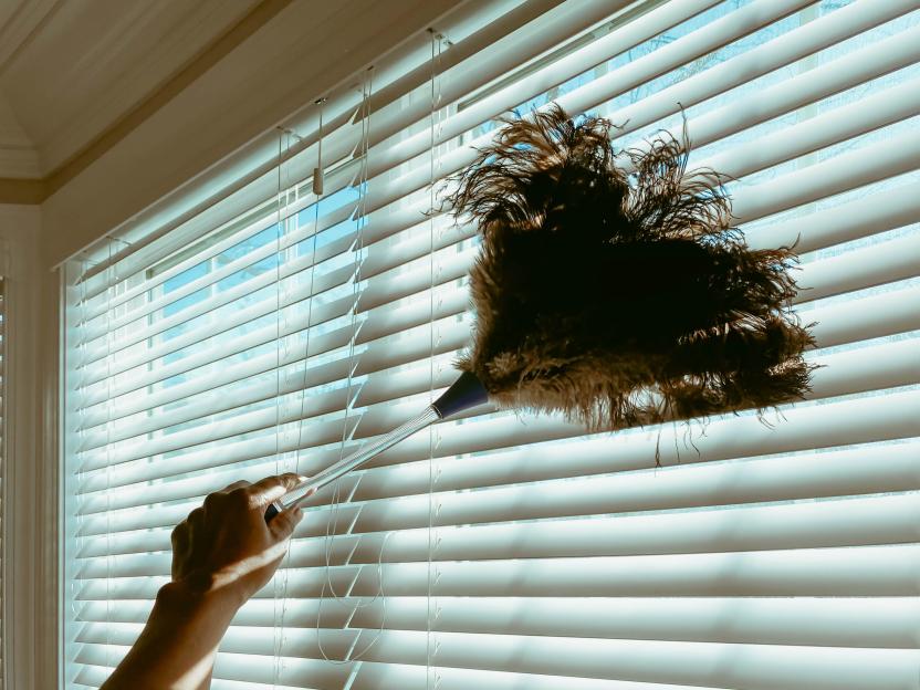 Woman Cleans Blinds with Feather Duster