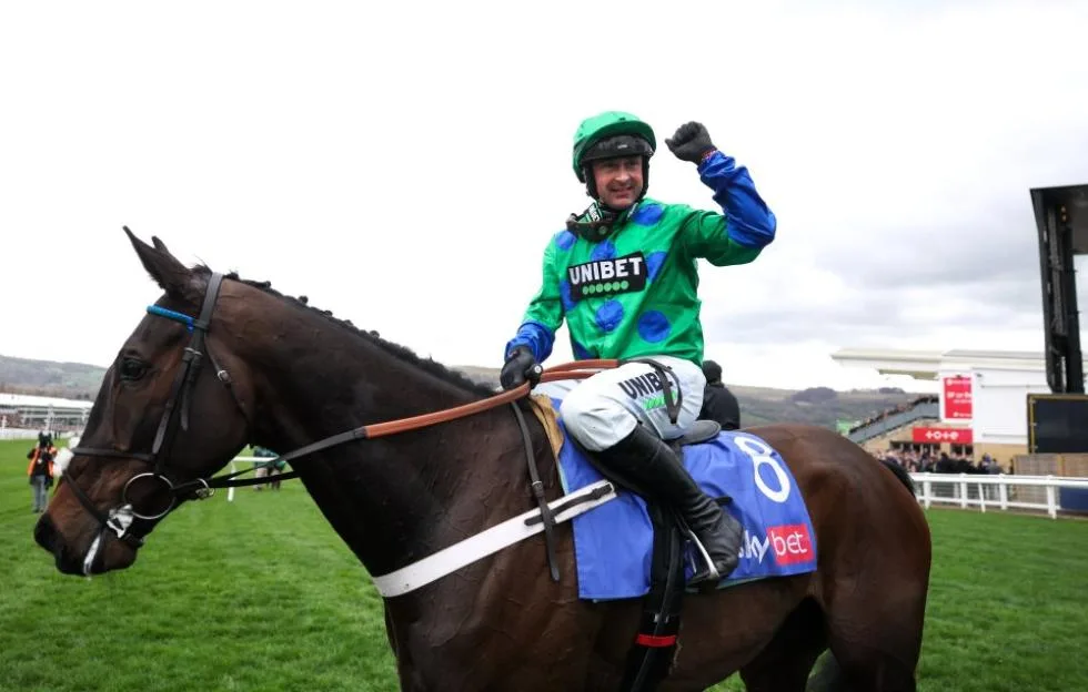 Templegate’s 12 jumps horses to follow including a Nicky Henderson novice destined for the very top