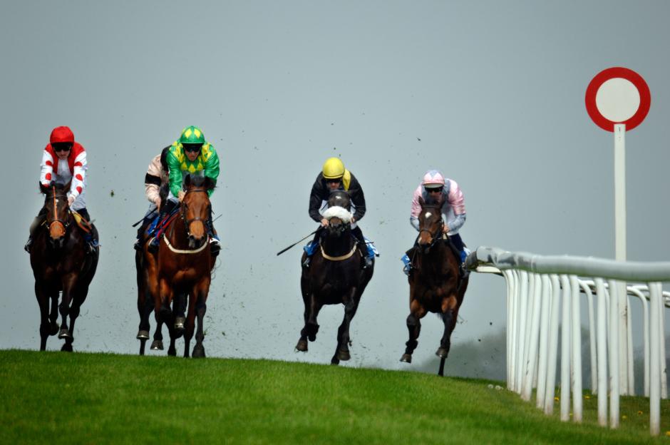 Racecourse Resumes Operations After Bug Infestation Forces Fixture Cancellations