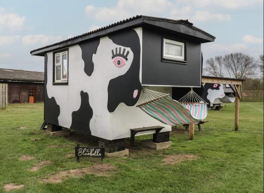 A small, black and white cow-patterned shed named Bluebelle with a hammock hanging from its side.