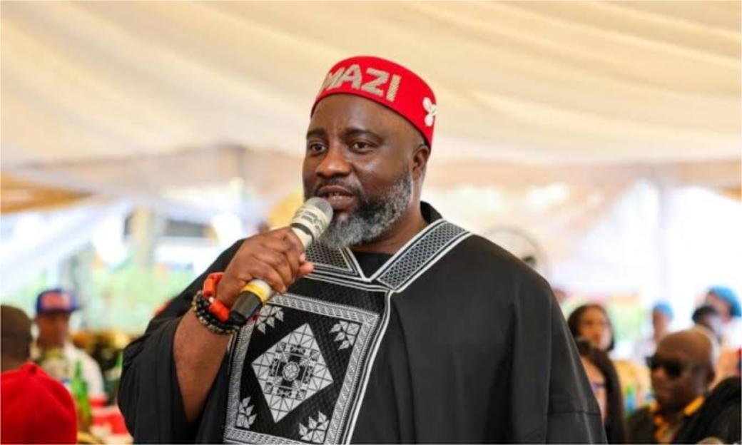'APP Leader Amadi: Appeal Court Ruling Preserved Nigeria's Democracy'
