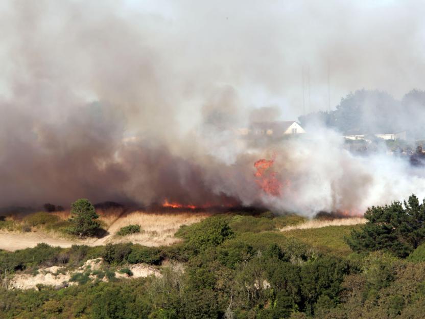 Massive Wildfire Breaks Out at UK Celebrity Hotspot Golf Club as Temperatures Hit 38°C Today!