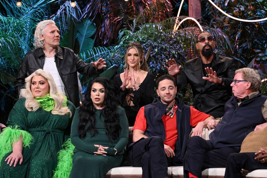 Gemma Collins, Jimmy Bullard, Scarlett Moffatt, Ashley Roberts, Adam Thomas, David Haye and Harry Redknapp at the I'm A Celebrity... Get Me Out Of Here! South Africa live final.
