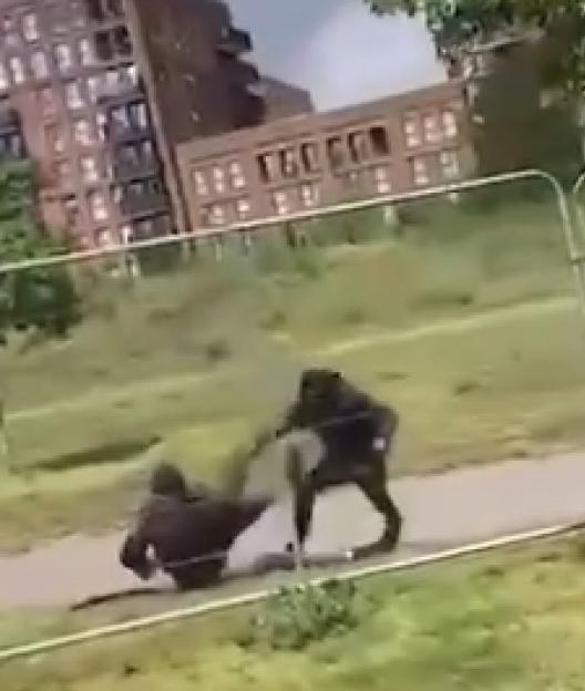 Two individuals engaged in an altercation in a park.